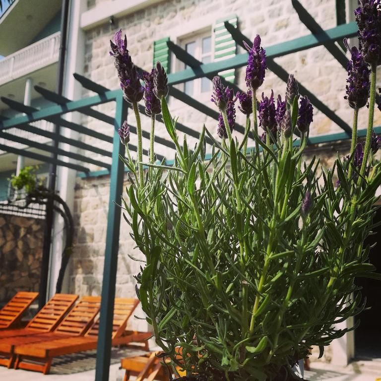 Апарт-отели Conborgo Apartments Кумбор-76